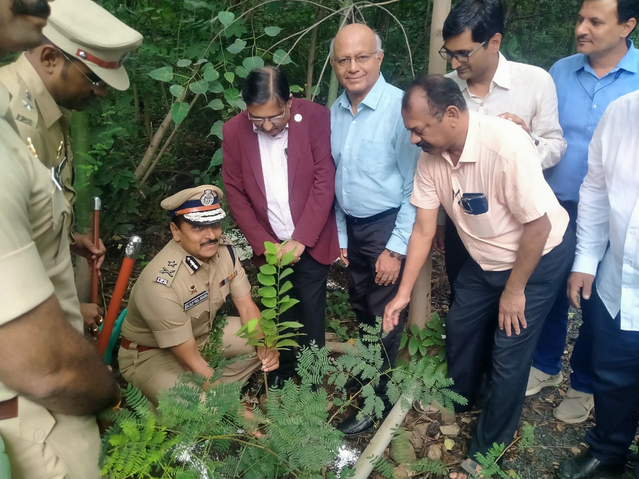 CSR Plantation