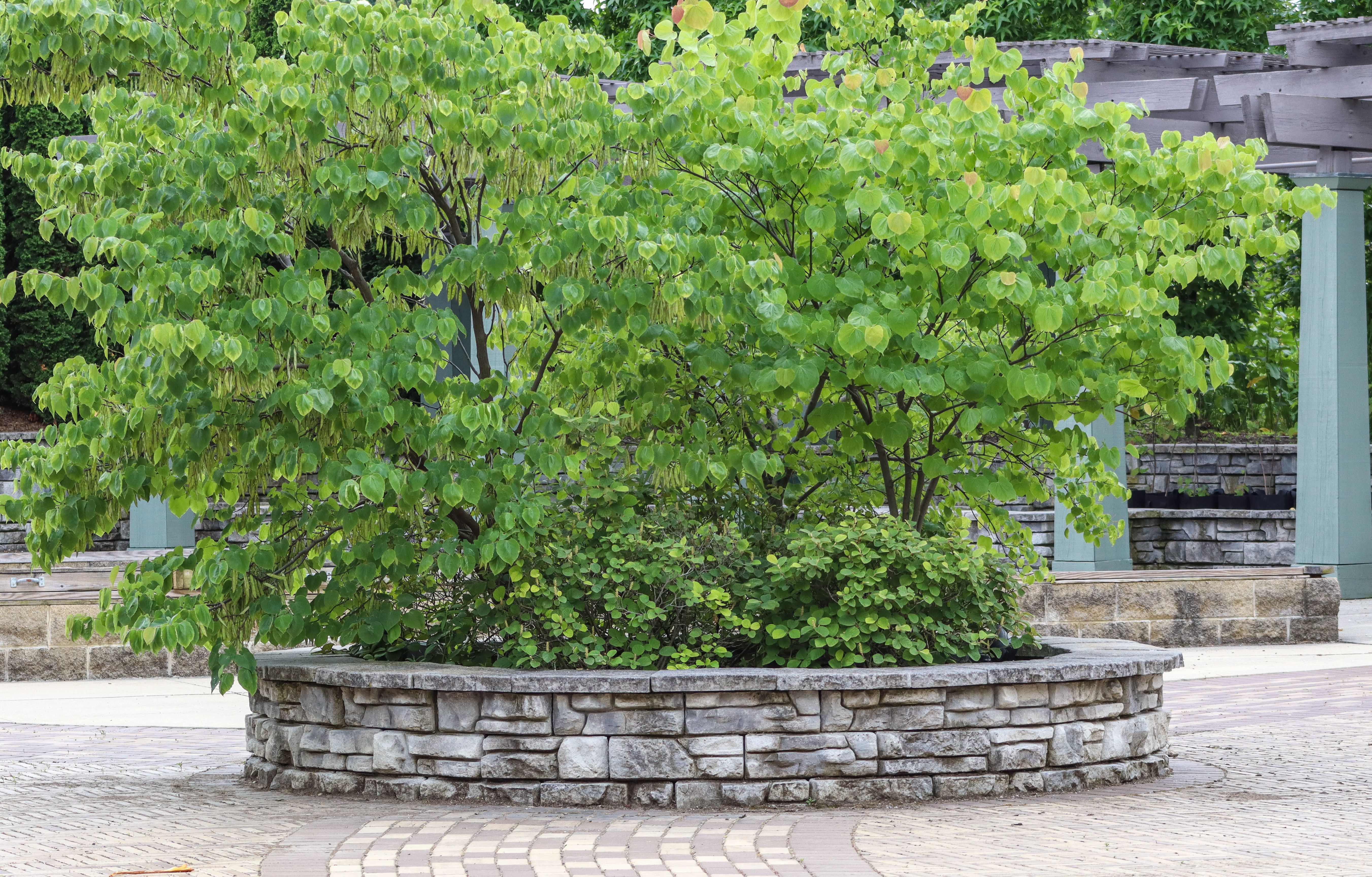 Garden Development